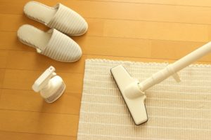 鶏野家、掃除機を買い替えます。